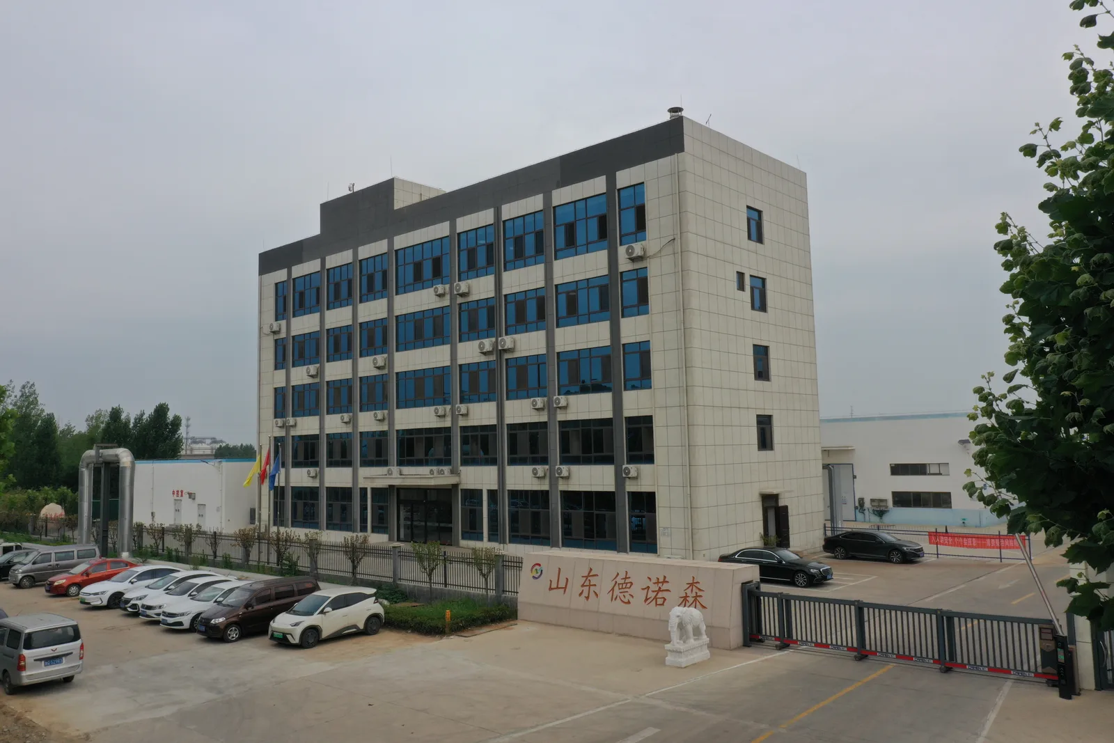 DNS facility