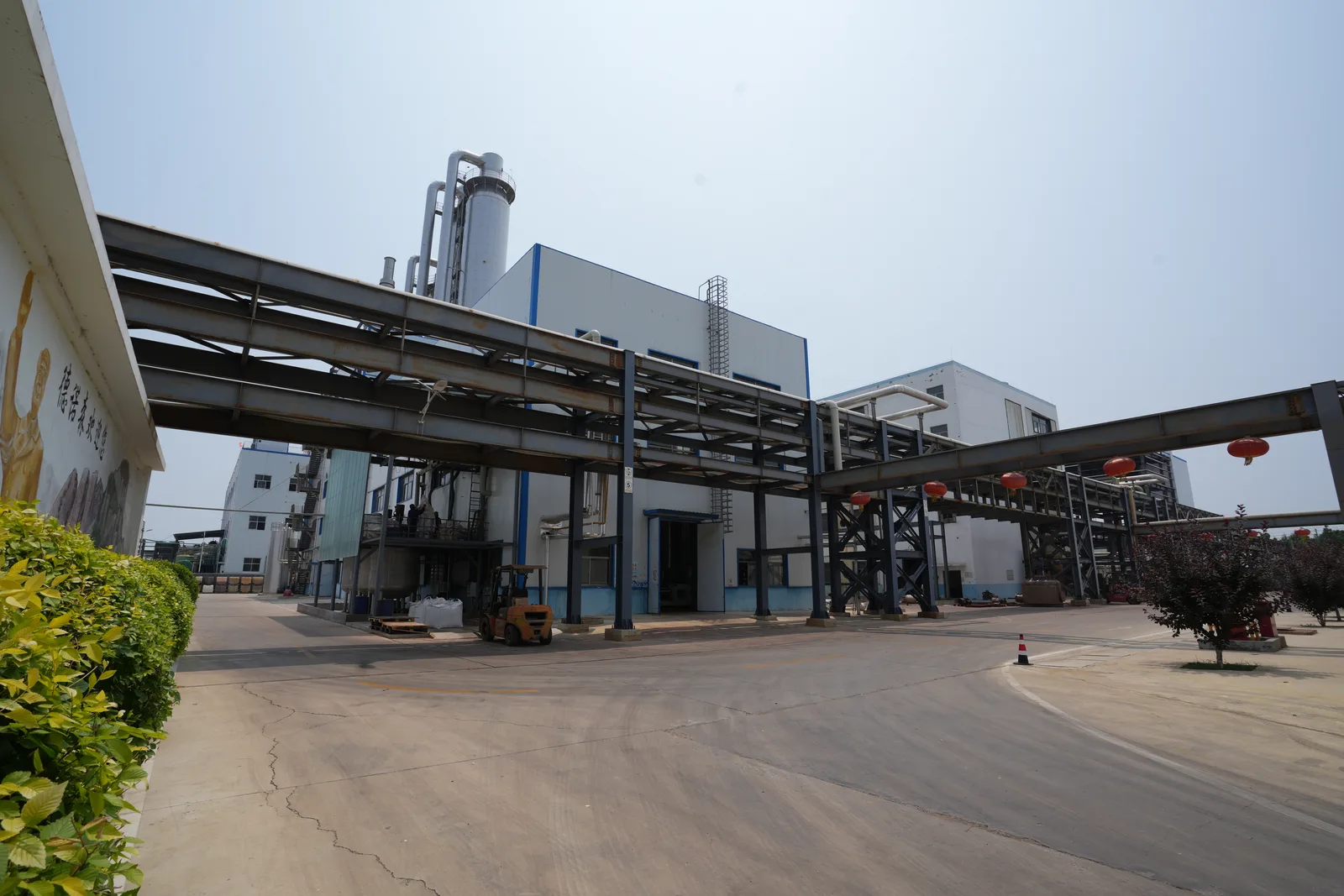 DNS facility